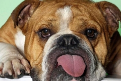 11abu_1646348476556 11abu_1646348476556