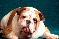 13abu_1646348476556 13abu_1646348476556