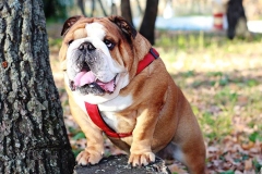 14abu_1646348476556 14abu_1646348476556