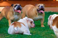 15abu_1646348476556 15abu_1646348476556