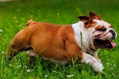 16abu_1646348476556 16abu_1646348476556