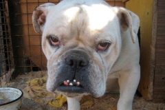 17abu_1646348476556 17abu_1646348476556