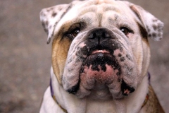 18abu_1646348476556 18abu_1646348476556