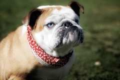 5abu_1646348476556 5abu_1646348476556