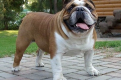 8abu_1646348476556 8abu_1646348476556