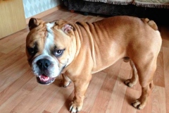 9abu_1646348476556 9abu_1646348476556