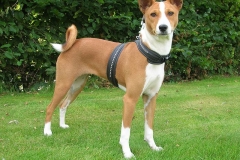 12be_0585648485756578557