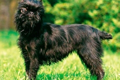 10bg_6574847655758 10bg_6574847655758