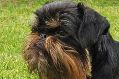 11bg_6574847655758 11bg_6574847655758