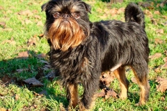 12bg_6574847655758 12bg_6574847655758