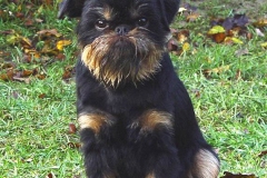 14bg_6574847655758 14bg_6574847655758