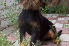 17bg_6574847655758 17bg_6574847655758