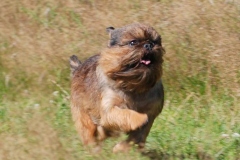 18bg_6574847655758