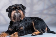 19bg_6574847655758 19bg_6574847655758