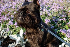 20bg_6574847655758 20bg_6574847655758