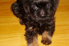 5bg_6574847655758 5bg_6574847655758