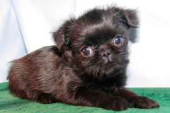 8bg_6574847655758 8bg_6574847655758