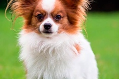 fa10_657484756574885