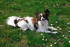 fa12_657484756574885