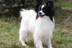 fa14_657484756574885