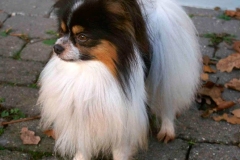 fa15_657484756574885