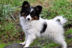 fa17_657484756574885