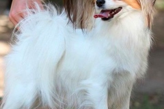 fa21_657484756574885