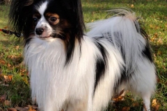 fa22_657484756574885