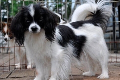 fa23_657484756574885