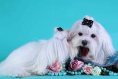 3_058464447565 3_058464447565