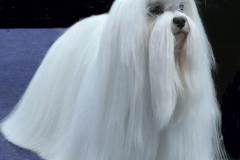 4_058464447565 4_058464447565