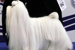 5_058464447565 5_058464447565