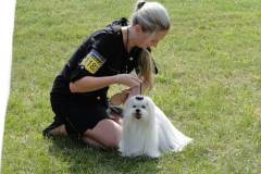 1_1_059565844976 1_1_059565844976