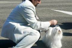 1_2_05957644847575 1_2_05957644847575