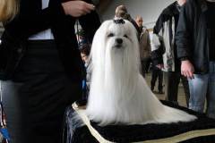 1_3_059556489385657 1_3_059556489385657