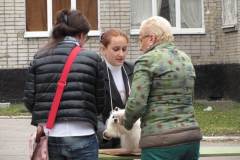 1_5_0595765859668 1_5_0595765859668