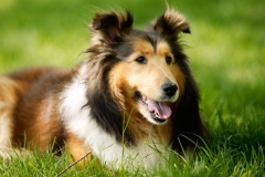 kolli_16_95857484757