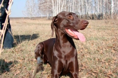 kurtshaar_11_768667766996