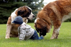 moskovskaya_storozhevaya_009