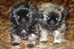 3_048464739397264 3_048464739397264