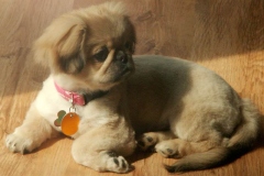 5_04846494585657 5_04846494585657