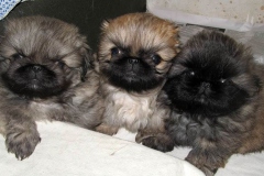 6_9575647499587576 6_9575647499587576