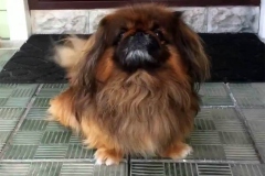 10n_958565589576 10n_958565589576