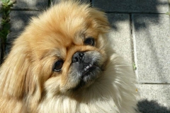 12n_657483948565658 12n_657483948565658