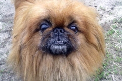 5n_0595648494756558 5n_0595648494756558