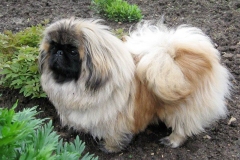 6n_05445373855657 6n_05445373855657