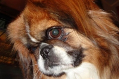 7n_9575648494765 7n_9575648494765