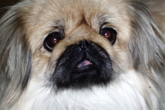 8n_7694957658498766 8n_7694957658498766