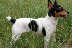 10af_64546489575 10af_64546489575