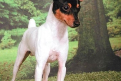 11af_64546489575 11af_64546489575